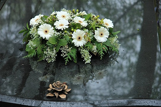 Jordan Frasier Death & Obituary: Honoring a Life of Kindness and Compassion