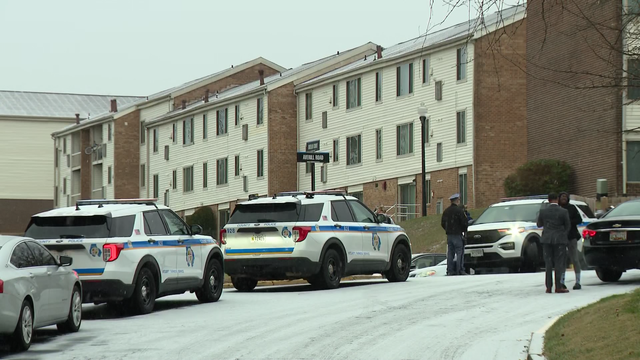 Breslin Court Shooting: Two Children and Two Adults Injured in Suspected Domestic Dispute in Rosedale