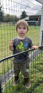 Search Efforts Intensify for Missing Toddler, Dane Paulsen, in Siletz, Oregon