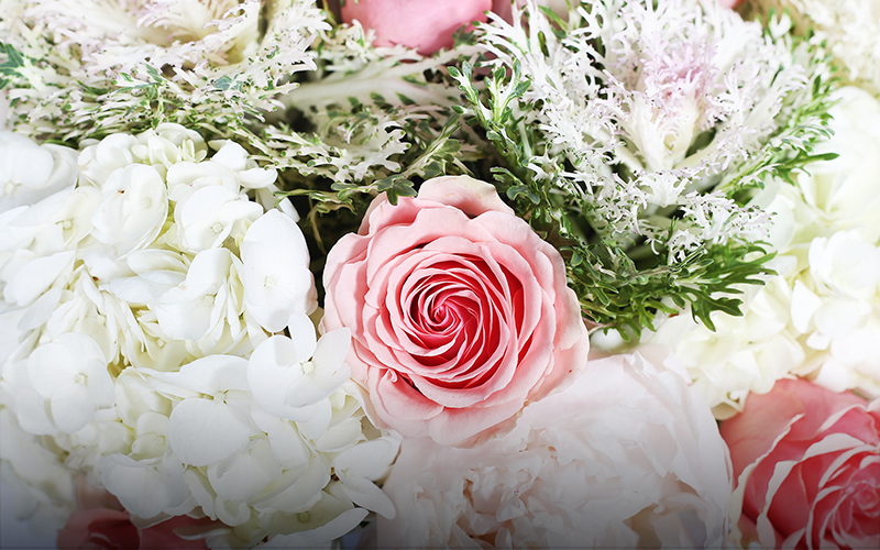 Zacharie W. Cloutier Obituary: Grand Island, Nebraska Resident Dies at Age 20